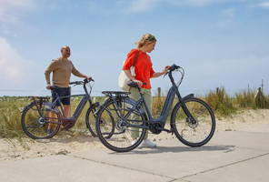 Vélo Gazelle
