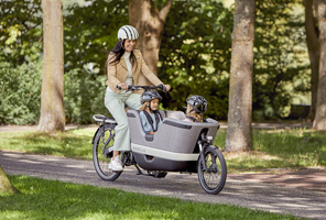 Vélo Gazelle